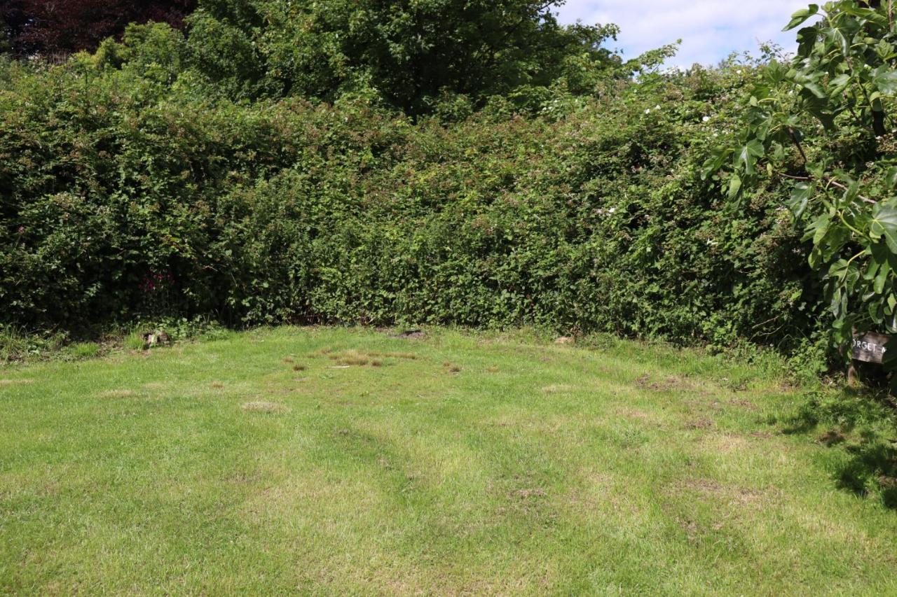 South Downs Eco Lodge & Camping East Meon Exterior foto