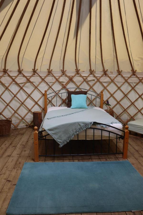 South Downs Eco Lodge & Camping East Meon Exterior foto