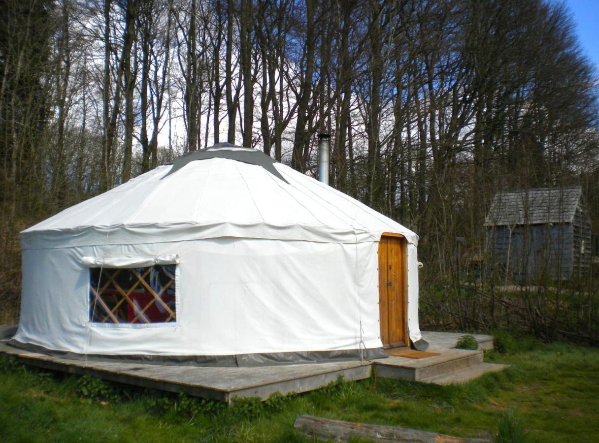 South Downs Eco Lodge & Camping East Meon Exterior foto