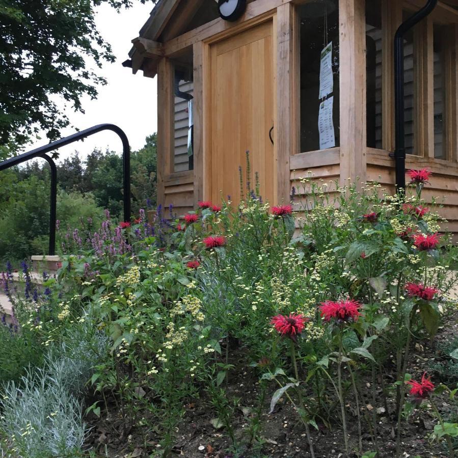 South Downs Eco Lodge & Camping East Meon Exterior foto