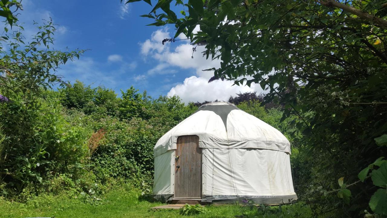 South Downs Eco Lodge & Camping East Meon Exterior foto