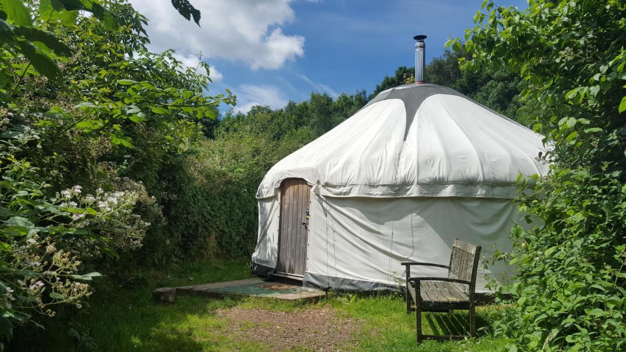 South Downs Eco Lodge & Camping East Meon Exterior foto