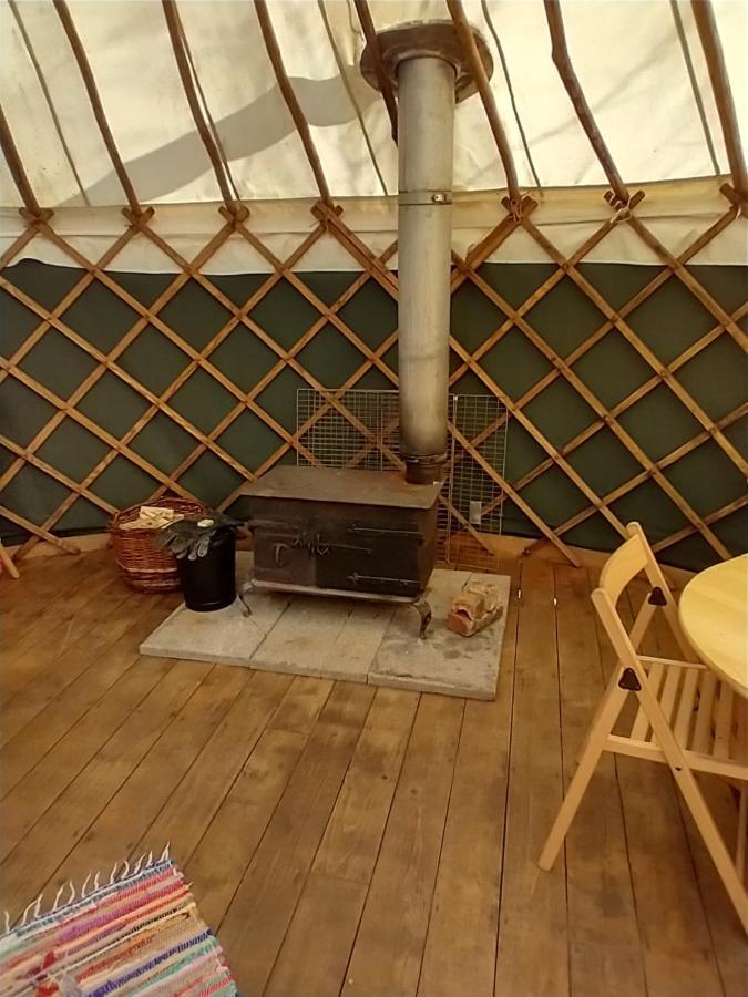 South Downs Eco Lodge & Camping East Meon Exterior foto